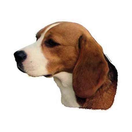 Autocollants Beagle - 14 cm - Lot de 2 de marque :