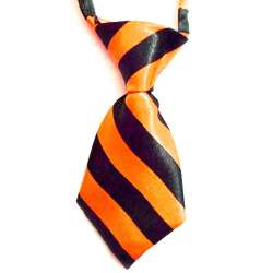 Cravate pour chien - Orange de marque :