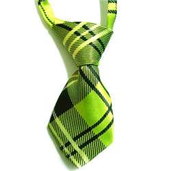 Cravate pour chien - Ecosse verte de marque :