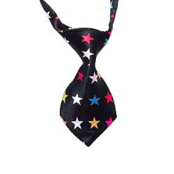Cravate pour chien - Etoile de marque :